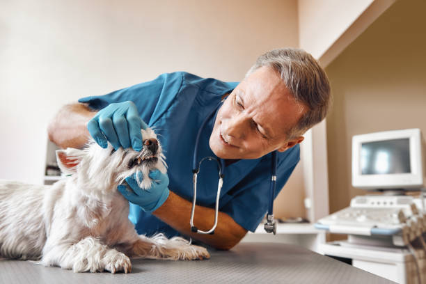 Best Emergency Tooth Extraction in Los Angeles, CA